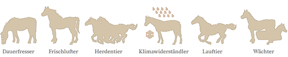 Horse related Information Kasperhof