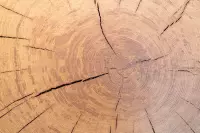 06a_kasperhof-appartements_4a