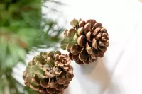 07_kasperhof_appartements_4b