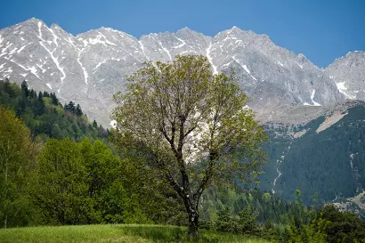 01_kasperhof-wandern_achselboden