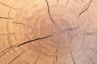 06a_kasperhof-appartements_4a